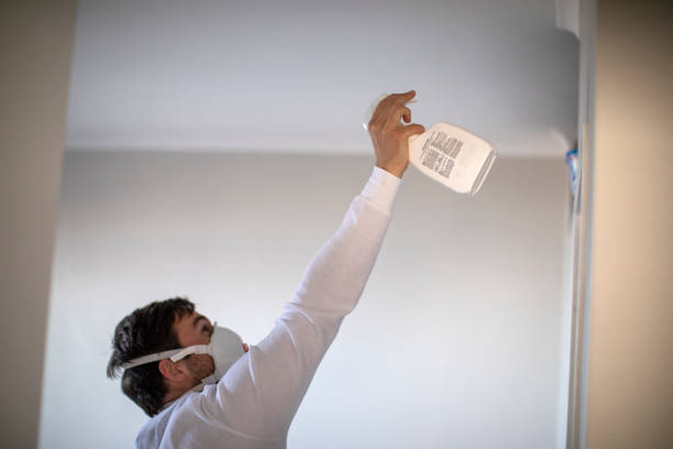 Best Mold Remediation Experts  in Hendersonville, TN