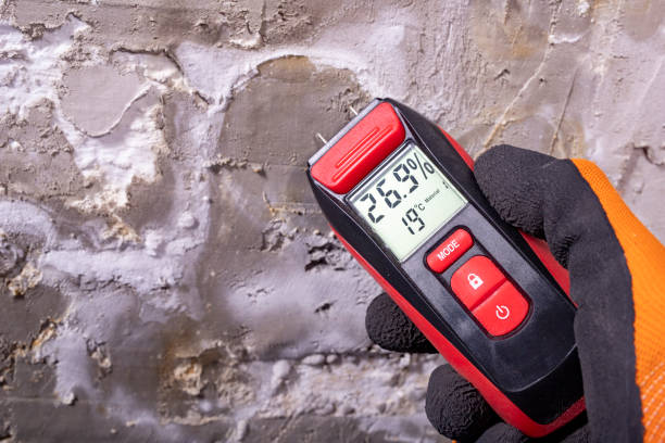 Best Emergency Mold Removal  in Hendersonville, TN