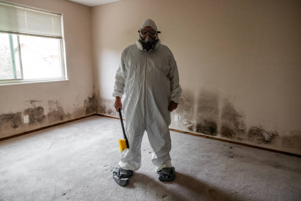 Best Residential Mold Removal  in Hendersonville, TN